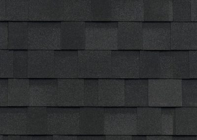 Dynasty Shingle Color - Granite Black