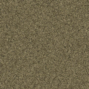 tarkett-broadloom-acadia-44069-sunbright-02973-ergostep